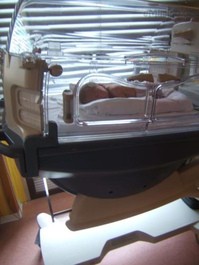 DSCF6370.JPG