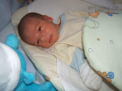 DSCF6515.JPG