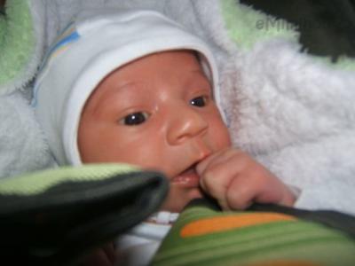 DSCF6552.JPG