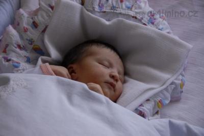 3. 4. 2011 - 5. den