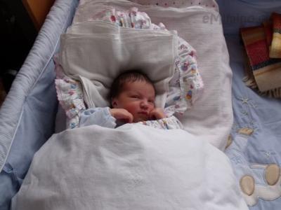 4. 4. 2011 - 6. den