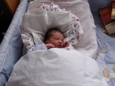 4. 4. 2011 - 6. den