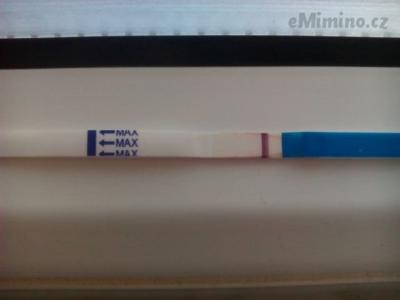 IMG_20160129_081038_6CS.jpg