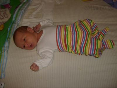 S6300025.JPG