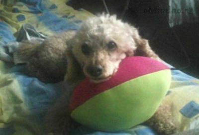 P04-11-10_14.09.jpg