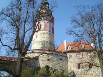 SL273148.JPG