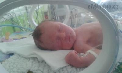 12512316_1091099020930174_3132760960469797949_n.jpg