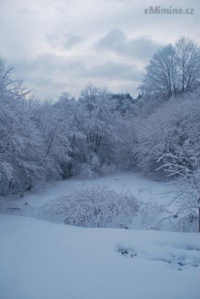 DSC_0860.JPG