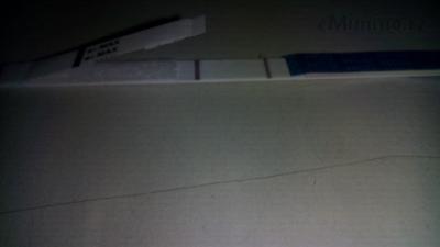 IMG_20160224_063337.jpg
