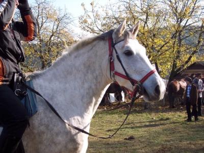 100_8346.JPG