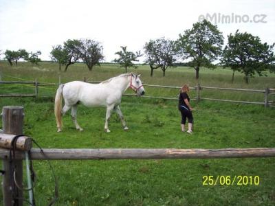 100_9067.JPG
