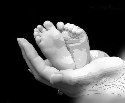 O�Maestro _535389_4473b154c59f410980446ad4bc99388f.jpg