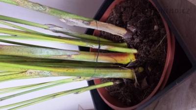 20160305_113729.jpg