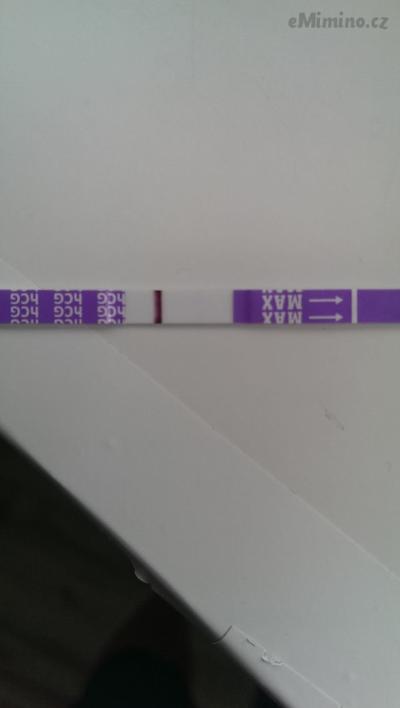 IMAG0597.jpg