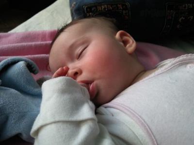 Fotografie-0135 22.2.11.jpg