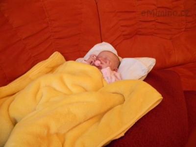 DSCN0210.JPG