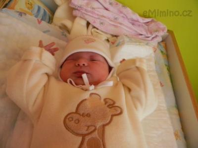 DSCN0221.JPG