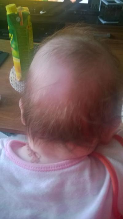 WP_20160310_003.jpg