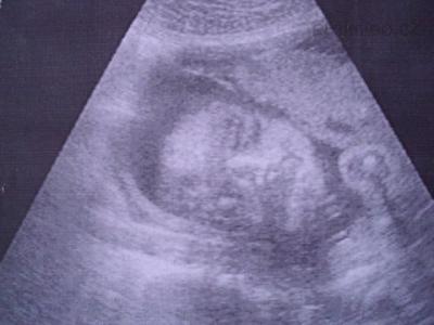 26.4.2011.jpg