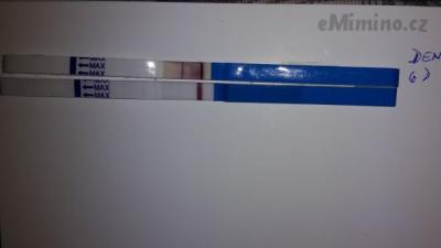 20160316_074603.jpg
