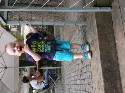 20150802_145654(0).jpg