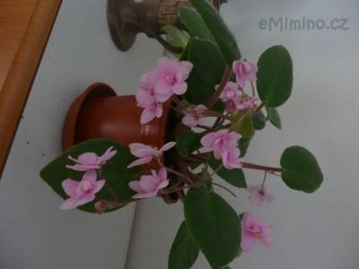 P1150975.JPG