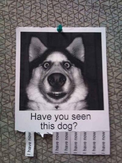 image.jpeg