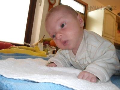 SAM_2288.JPG