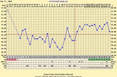 chartgraph_module.php 29-03-2016 že by MS.png