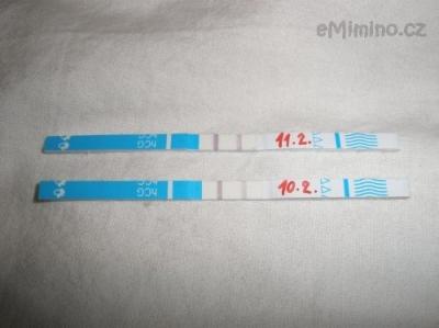 380147_720.jpg