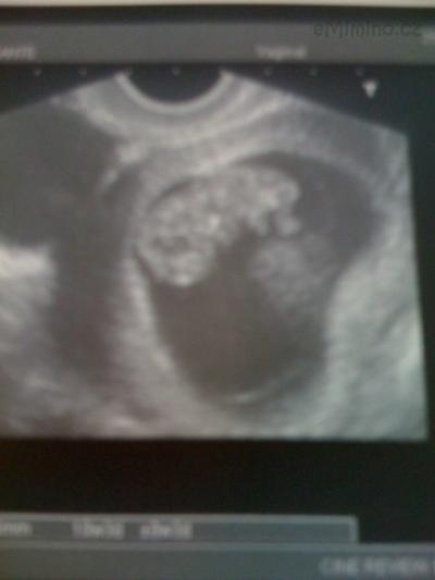 Picture 003.jpg