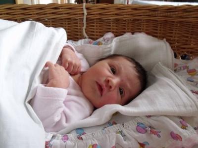 6. 4. 2011 - 8. den