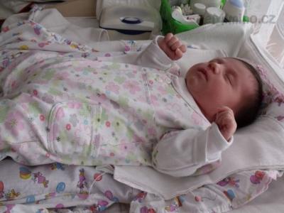 15. 4. 2011 - 17. den