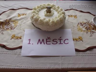 30. 4. 2011 - 1. měsíc