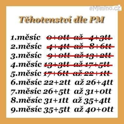 Měsíce těhotenství.JPG