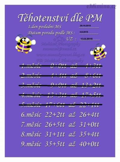 97bd4c7769_83327849_o2.jpg