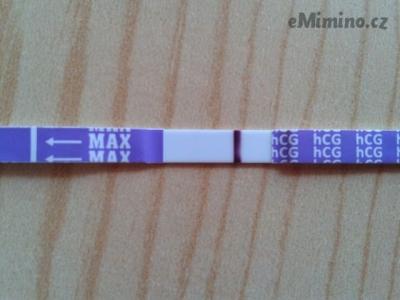 4390668.jpg