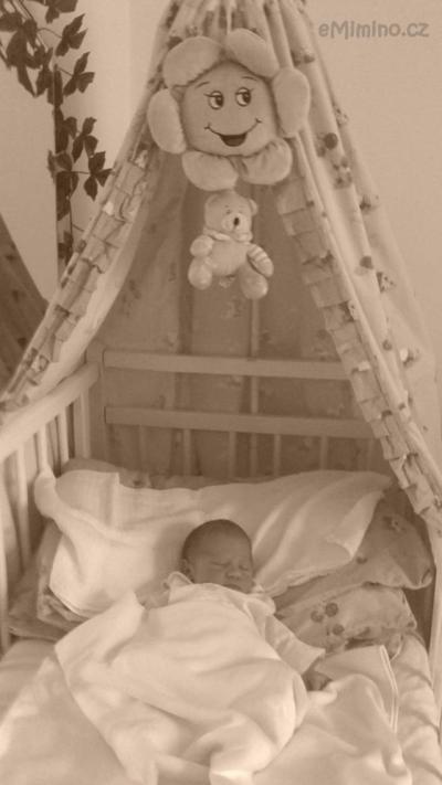 22052011288.JPG