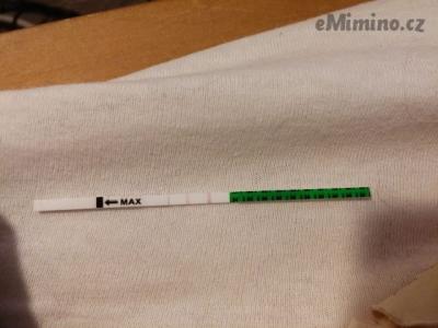 4387105.jpg