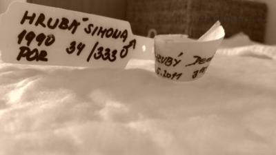 26052011335.JPG