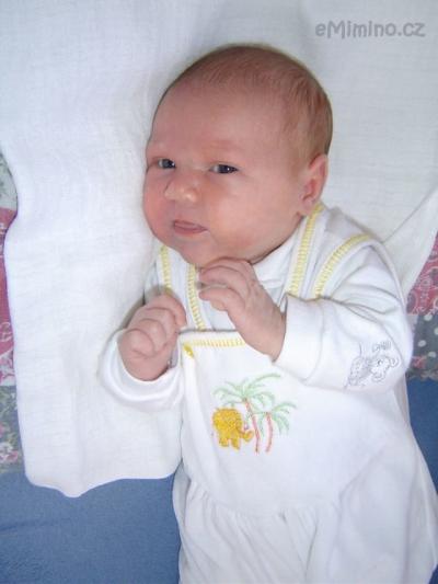 Viktorka 023.jpg