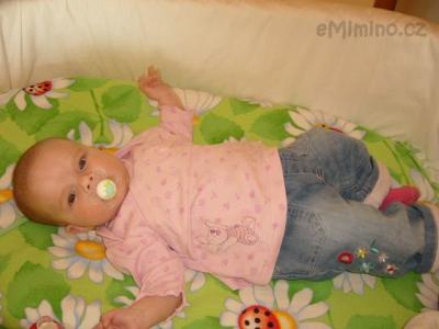 leuška meninová 005.JPG