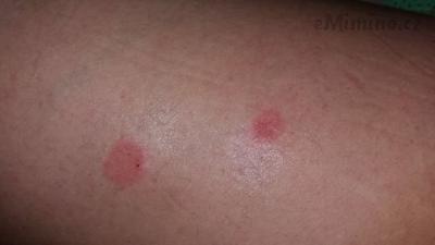 20160518_195104.jpg