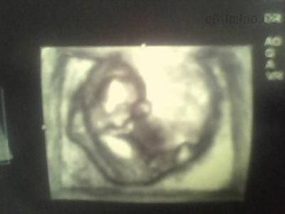 12. 4. 2011.jpg