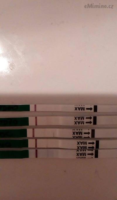 received_1613860908931307.jpeg