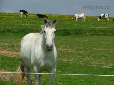 DSCF8743.JPG