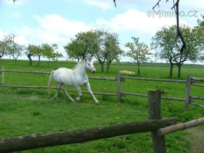 DSCF8752.JPG