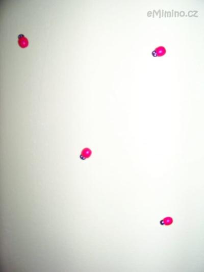 100_8770 – kopie.JPG
