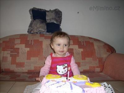 Snímek 009.jpg