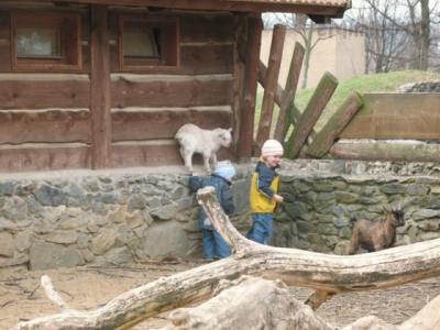 2011-03-27-09-43-072.jpg